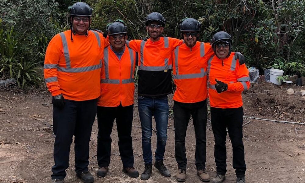 Higuera Tree Care
