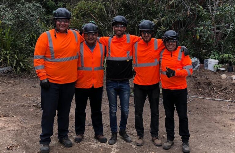 Higuera Tree Care