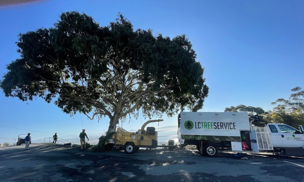 LC Tree Service