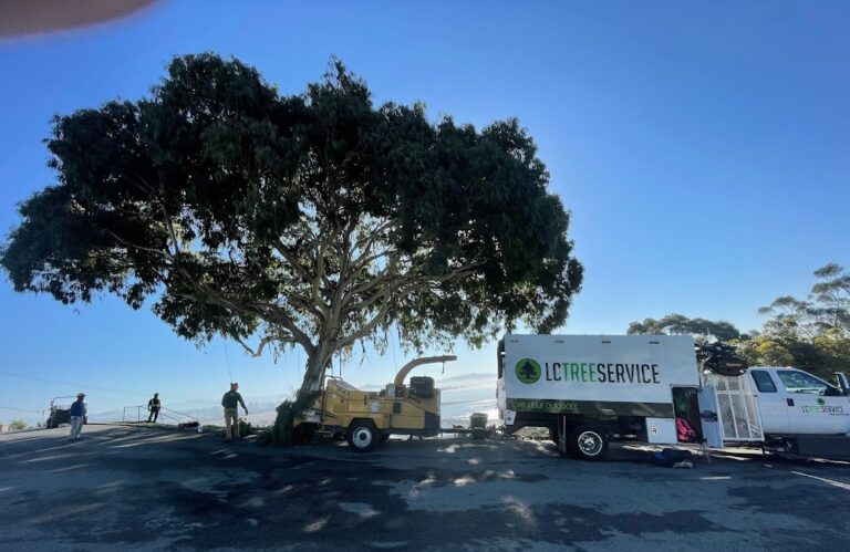 LC Tree Service