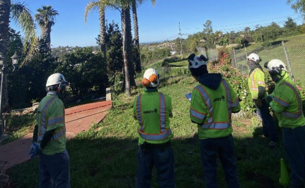 The Davey Tree Expert Company