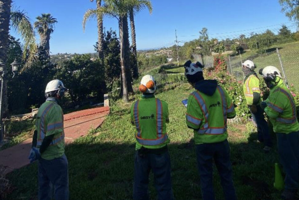 The Davey Tree Expert Company