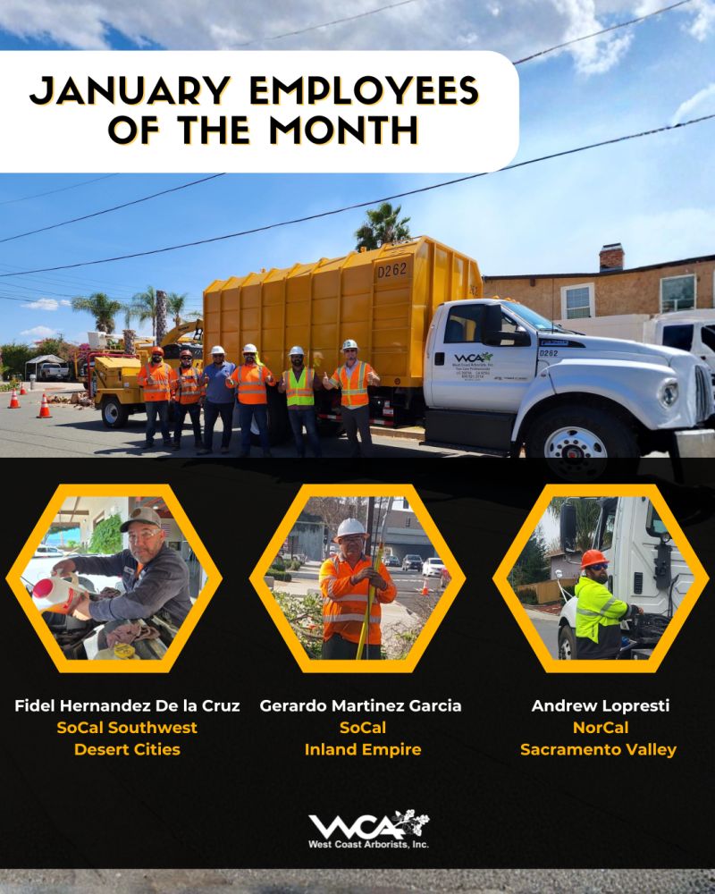 West Coast Arborists, Inc