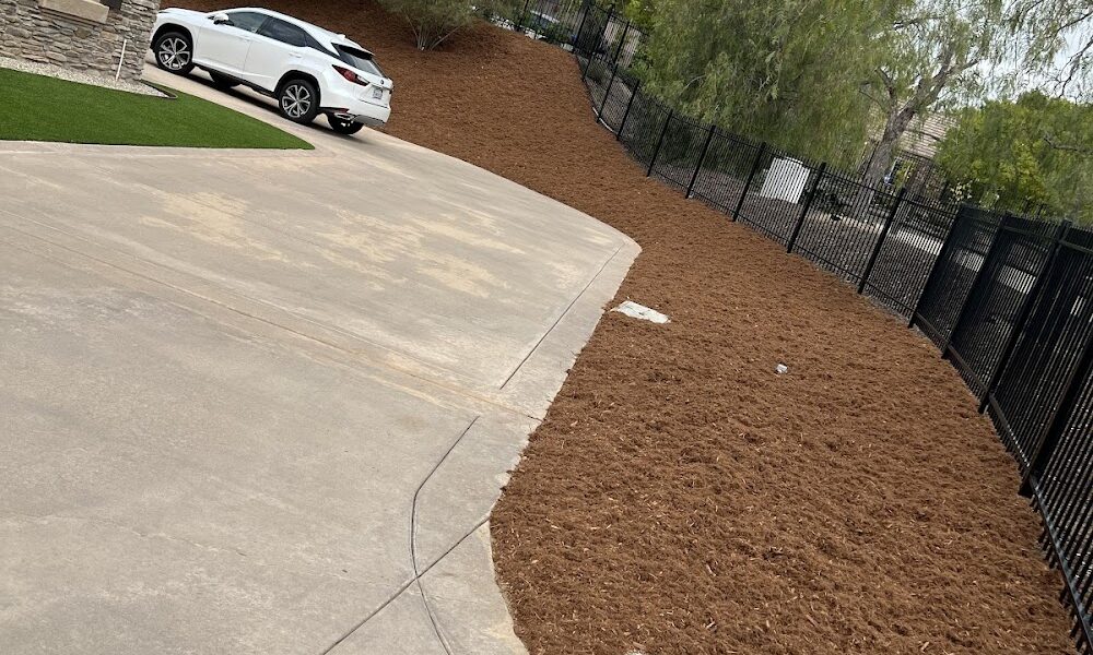 24 Seven Tree Service