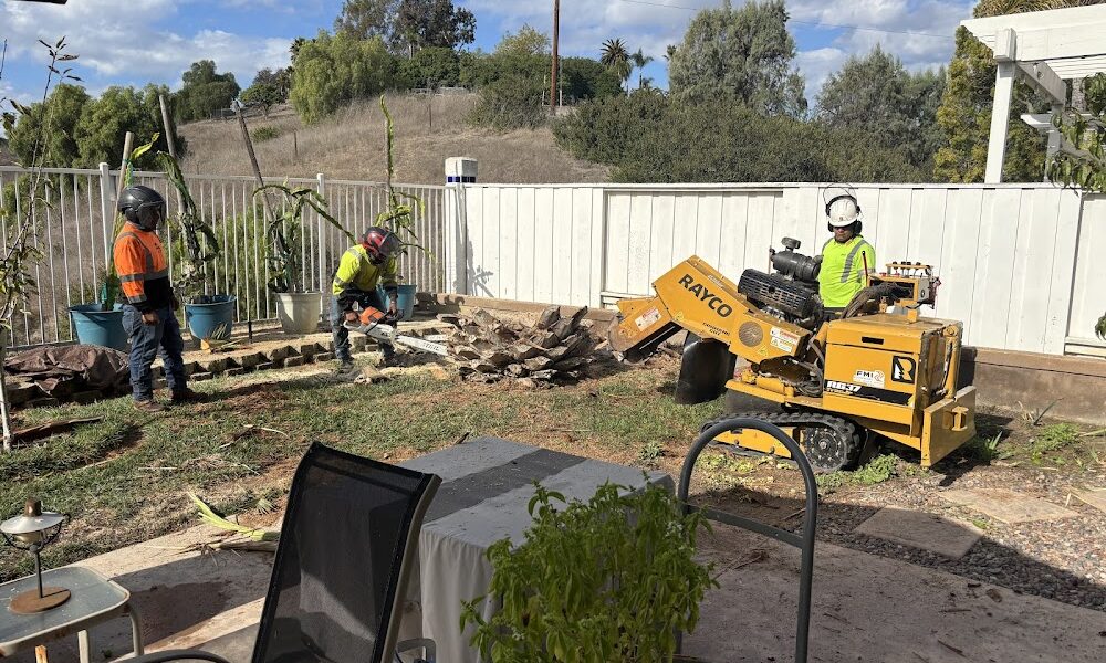 Alonzo’s Tree Service Inc