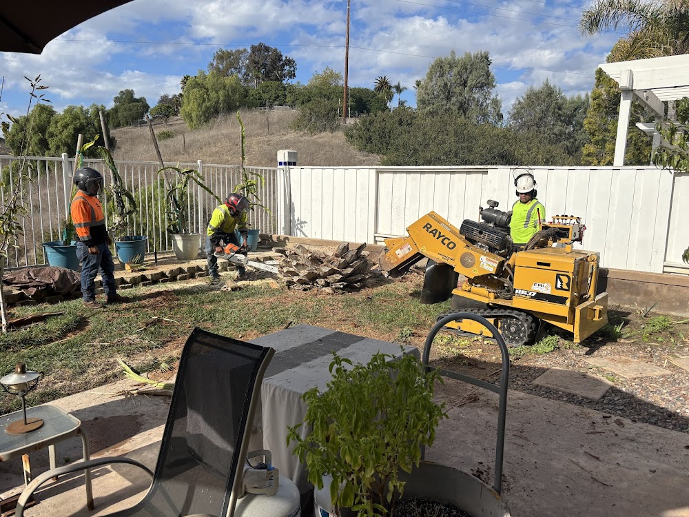 Alonzo’s Tree Service Inc