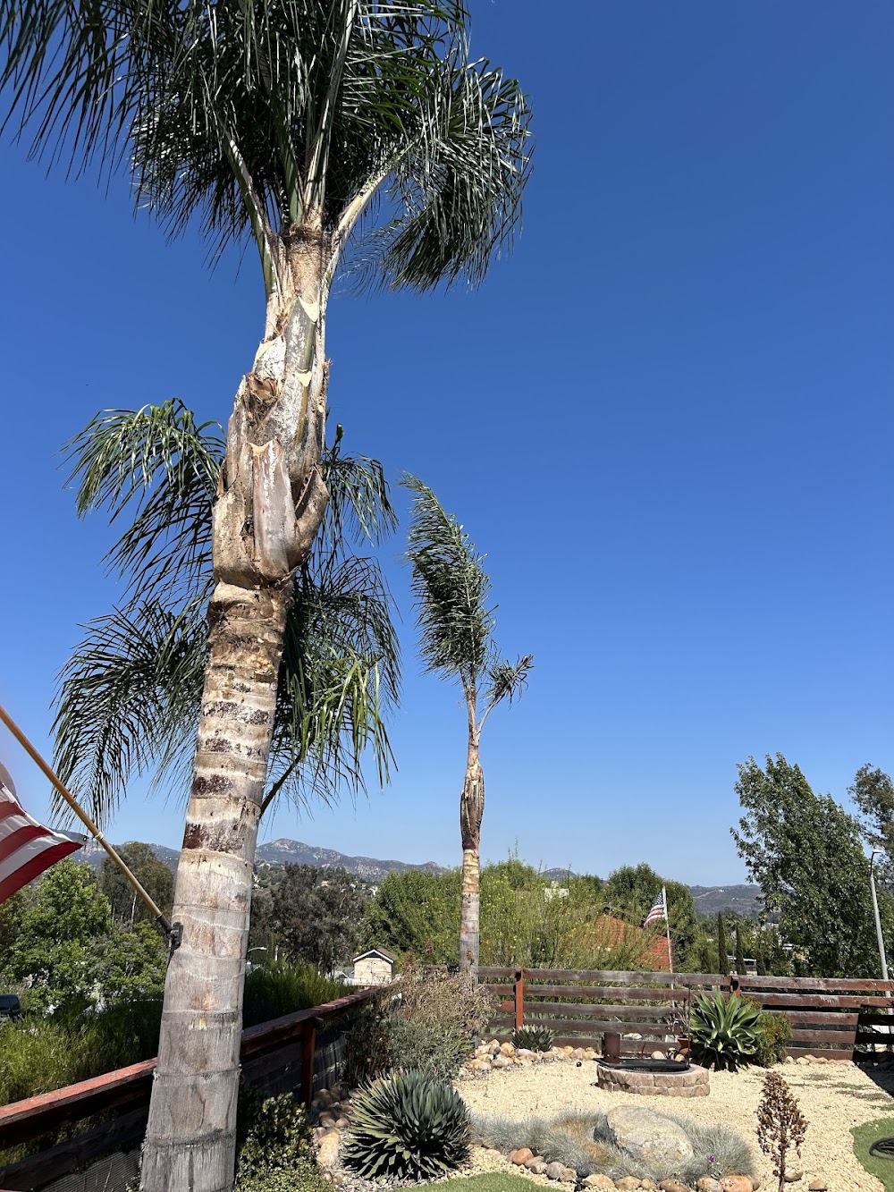 Arriola Tree Services Poway