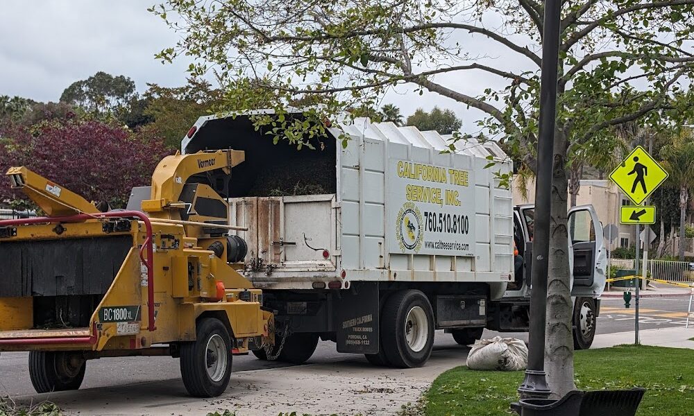 California Tree Service Inc.