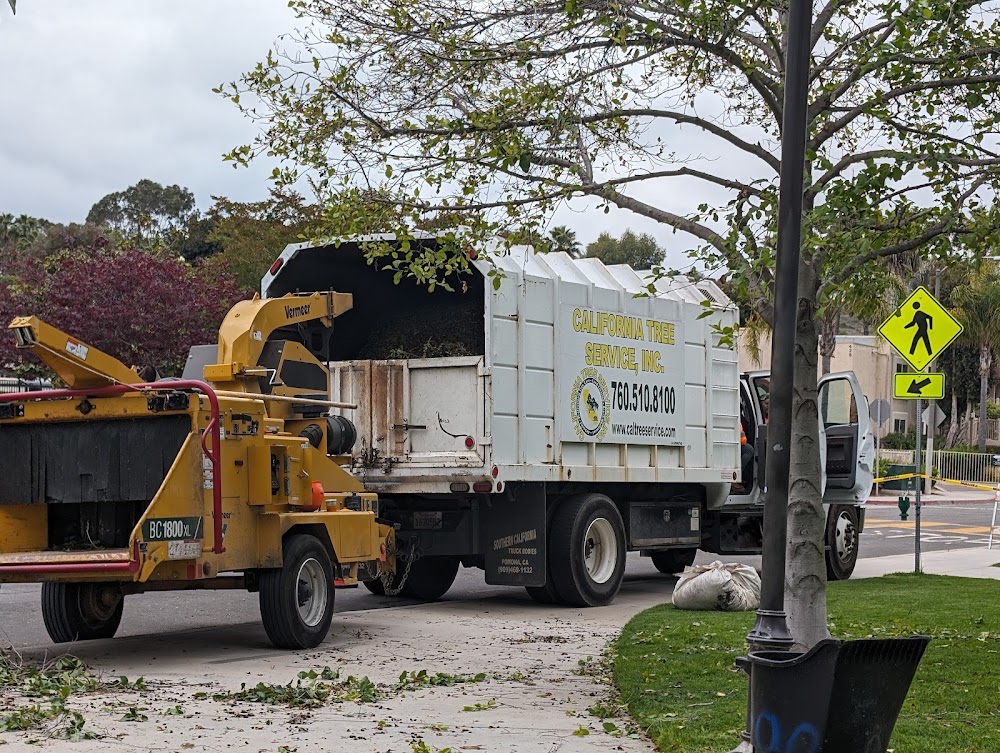 California Tree Service Inc.