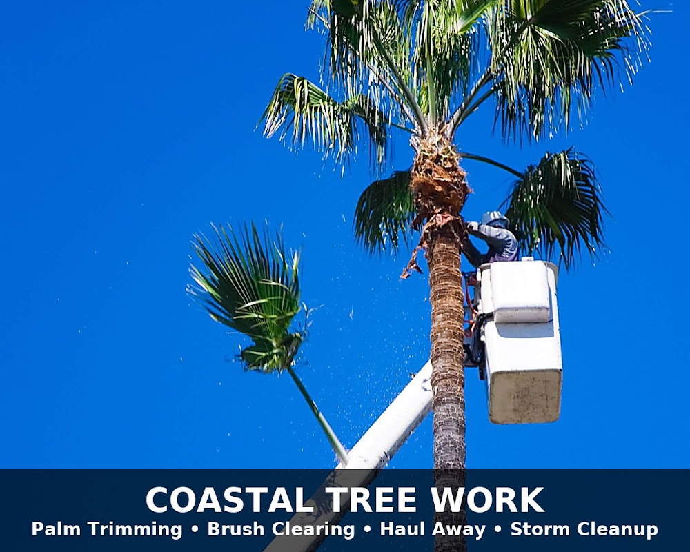 Coastal Tree Work
