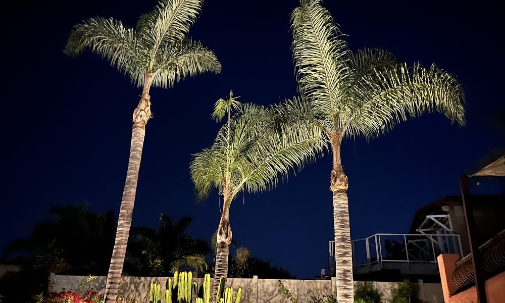 Higuera’s Tree Service