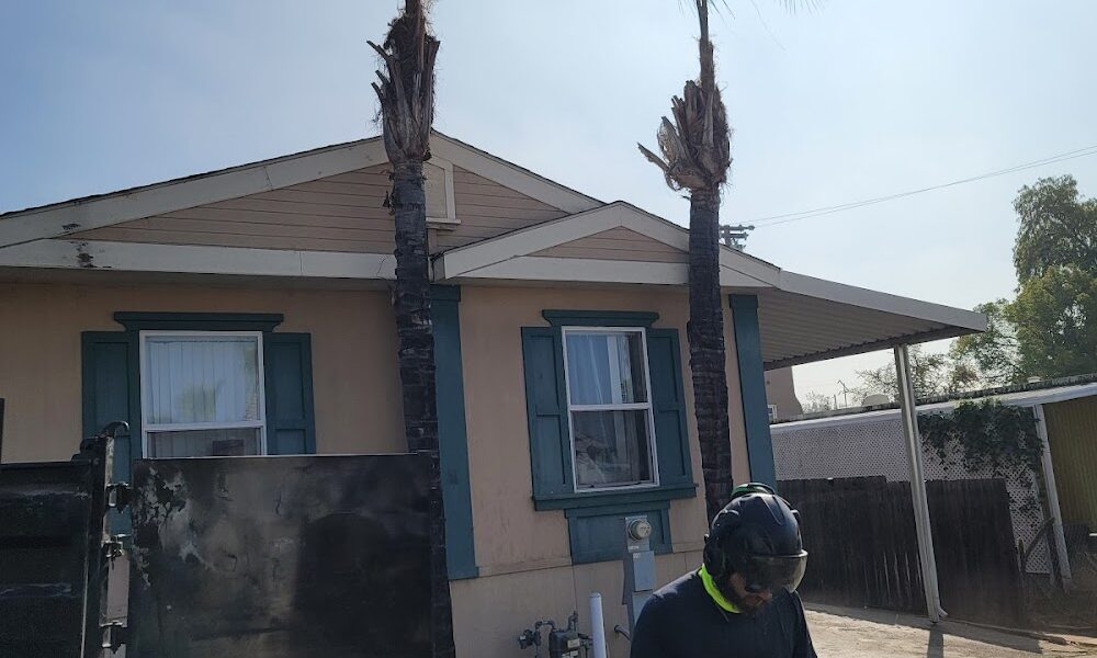 Master Arbor Service Inc