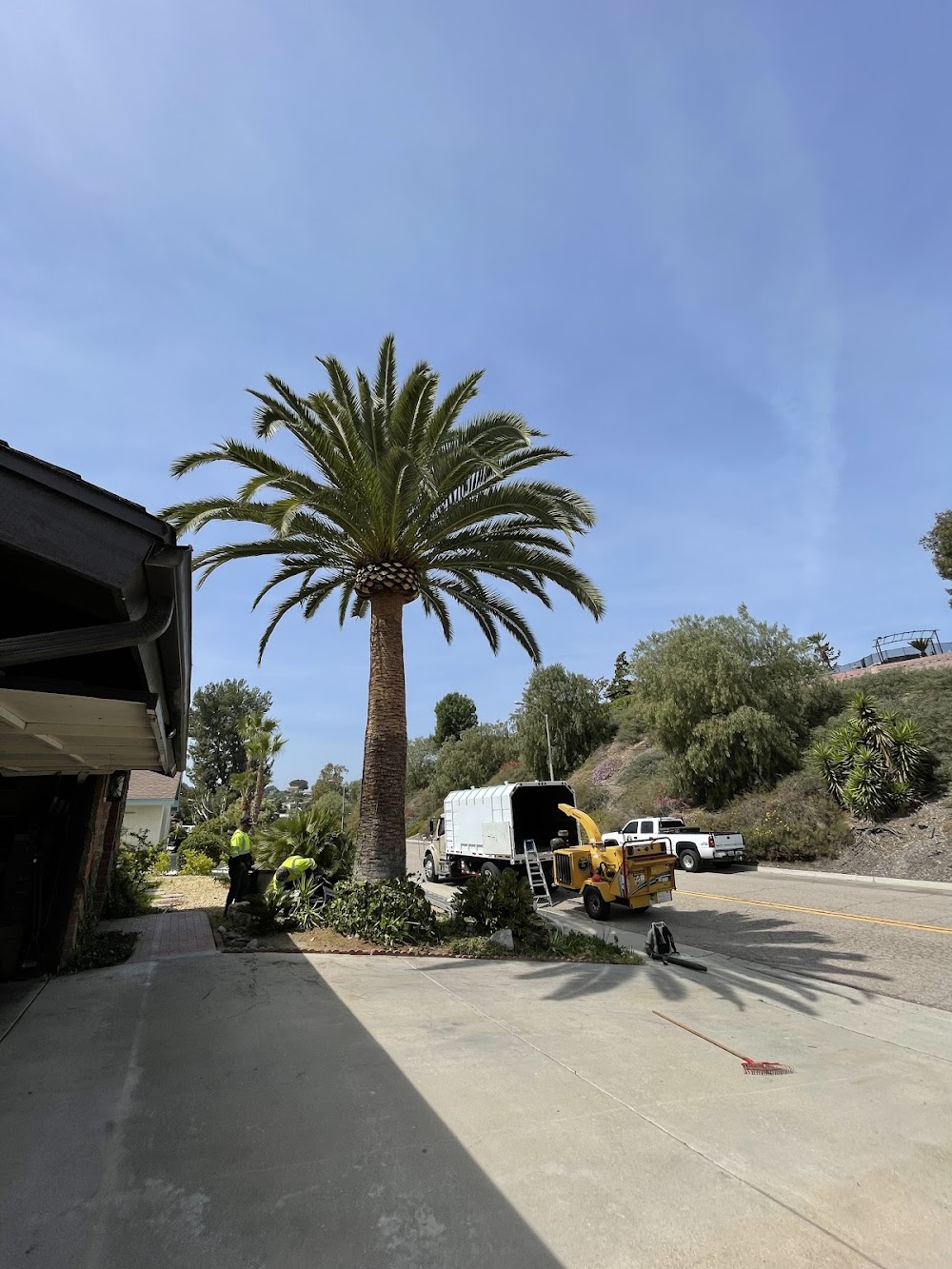 Maya’s Landscape & Tree Service