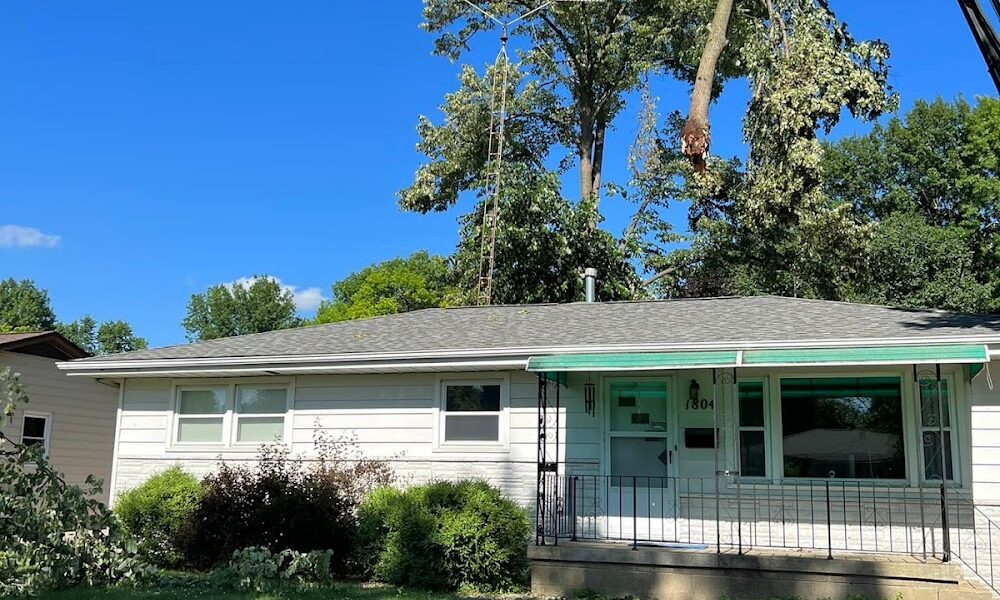 National City Tree Service