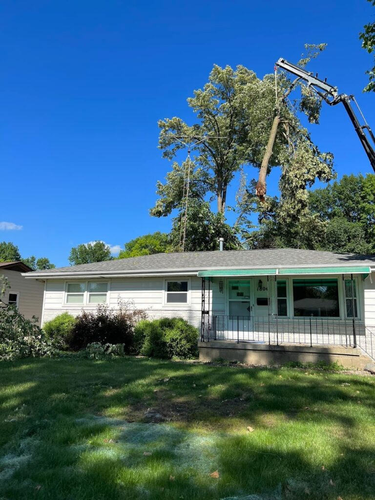 National City Tree Service