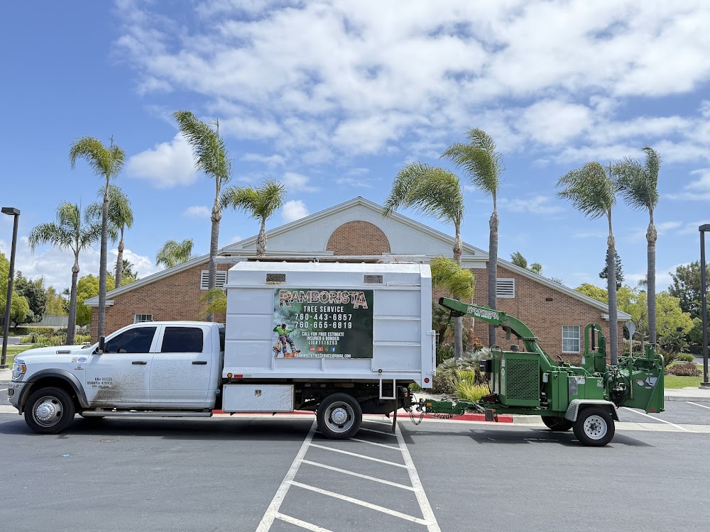 Ramborista Tree Service