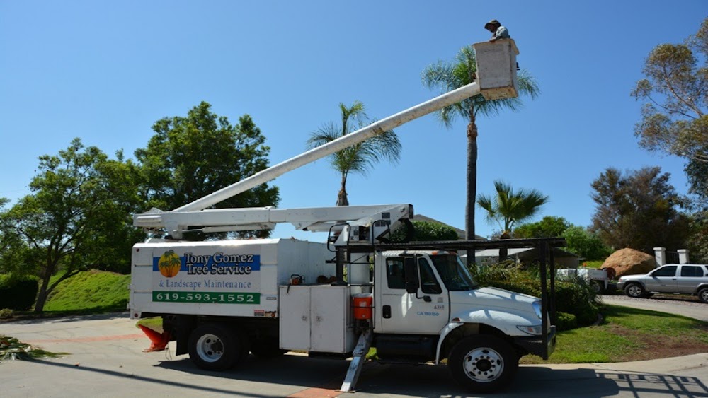 Tony Gomez Tree Service